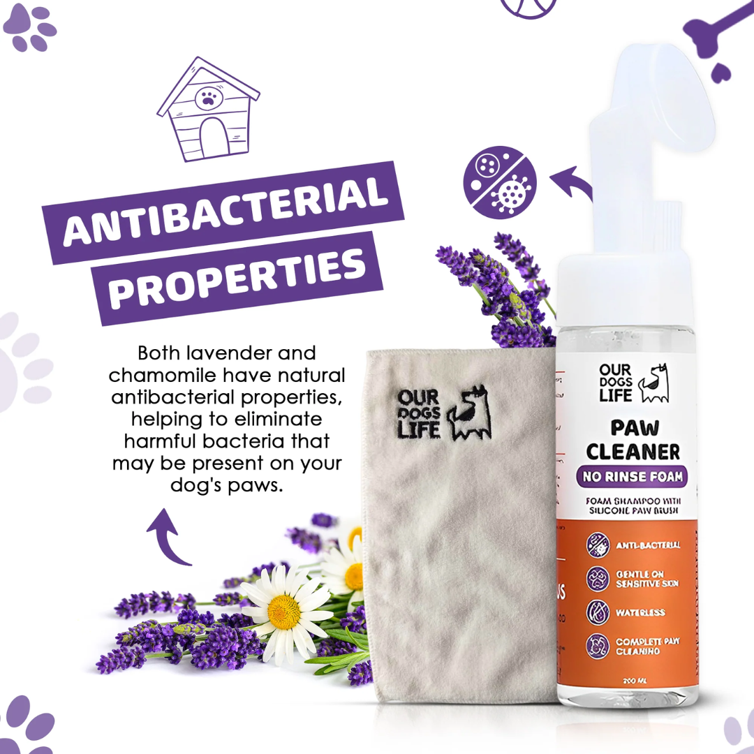 Dogslife Paw Cleaner (8830152016114)