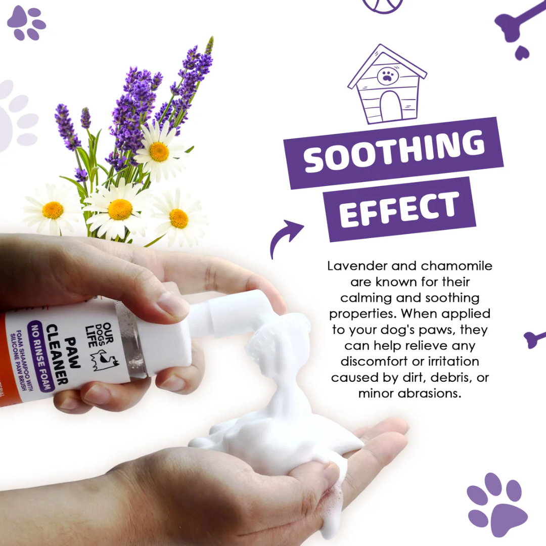 Dogslife Paw Cleaner (8830152016114)