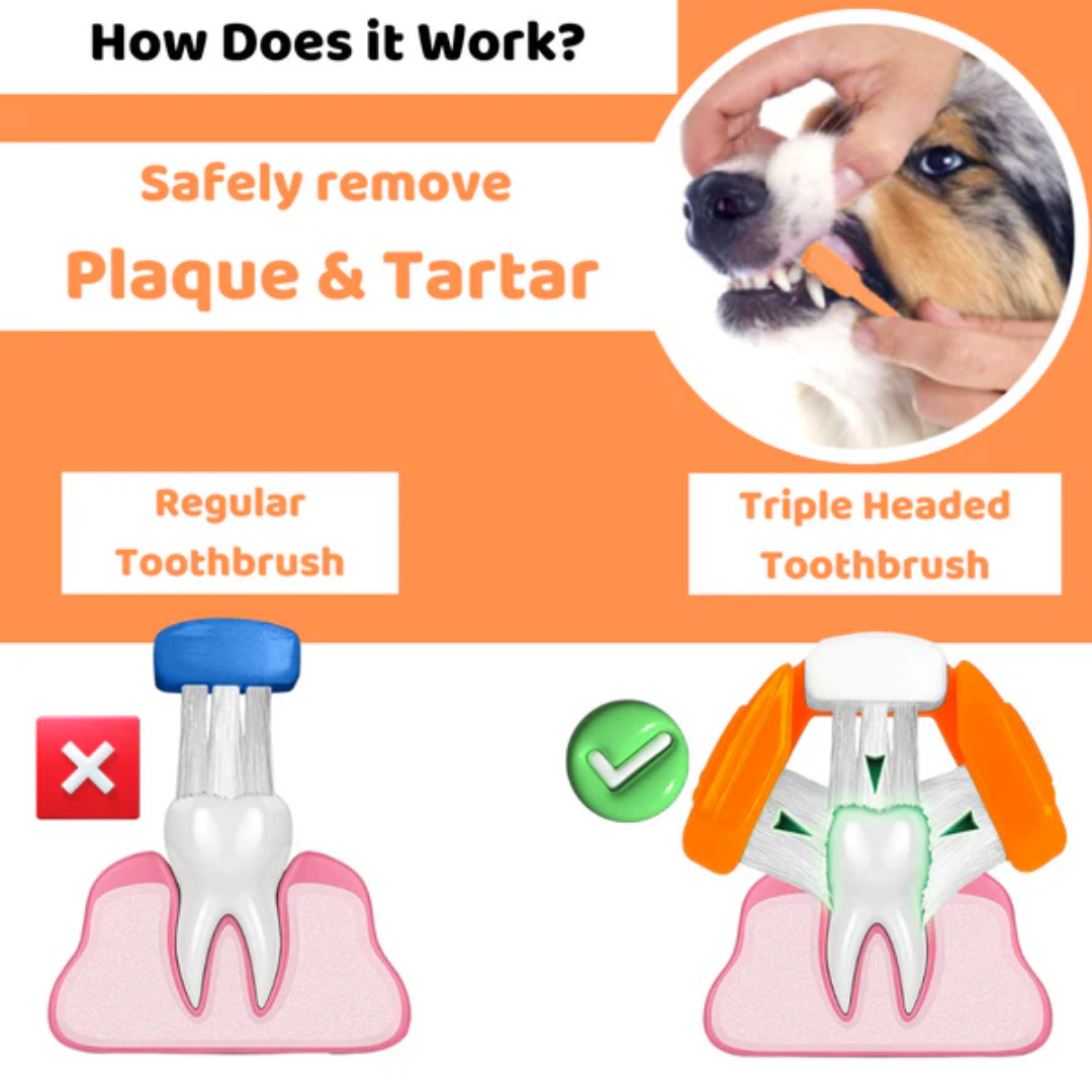 Dogslife Dental Care Kit (Copy) (8780443091186)