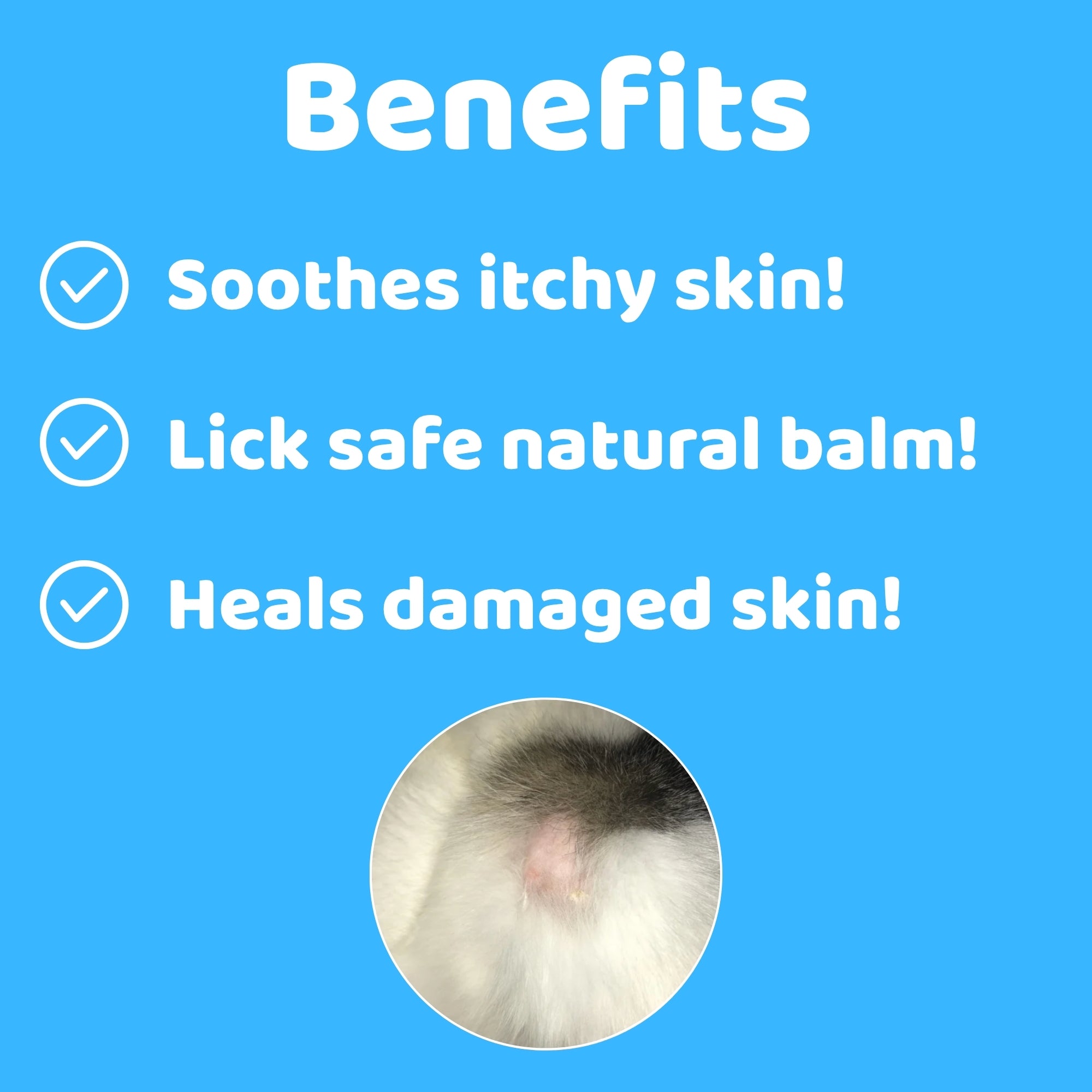 CatsLife Eye Wipes (Copy) (8780460916978)