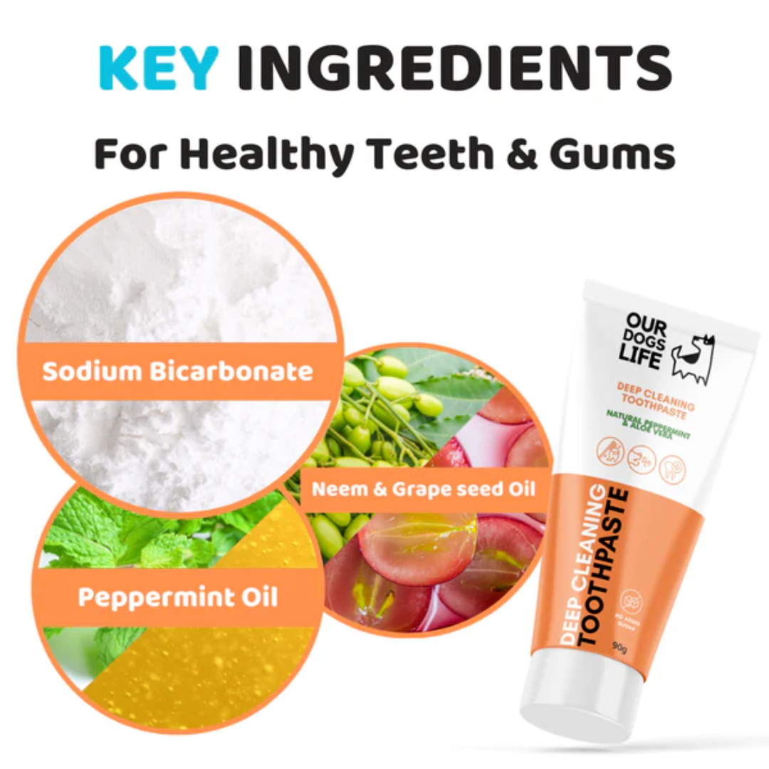 Dogslife Dental Care Kit (Copy) (8780443091186)