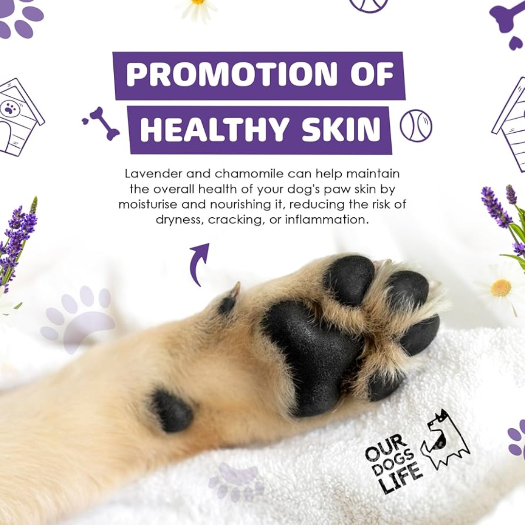 Dogslife Paw Cleaner (8830152016114)