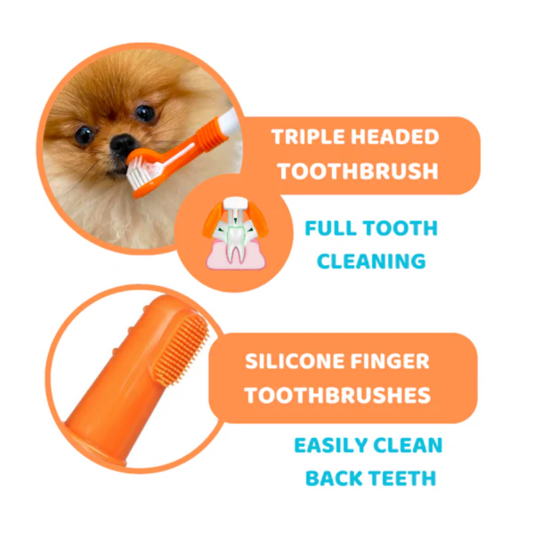 Dogslife Dental Care Kit (Copy) (8780443091186)