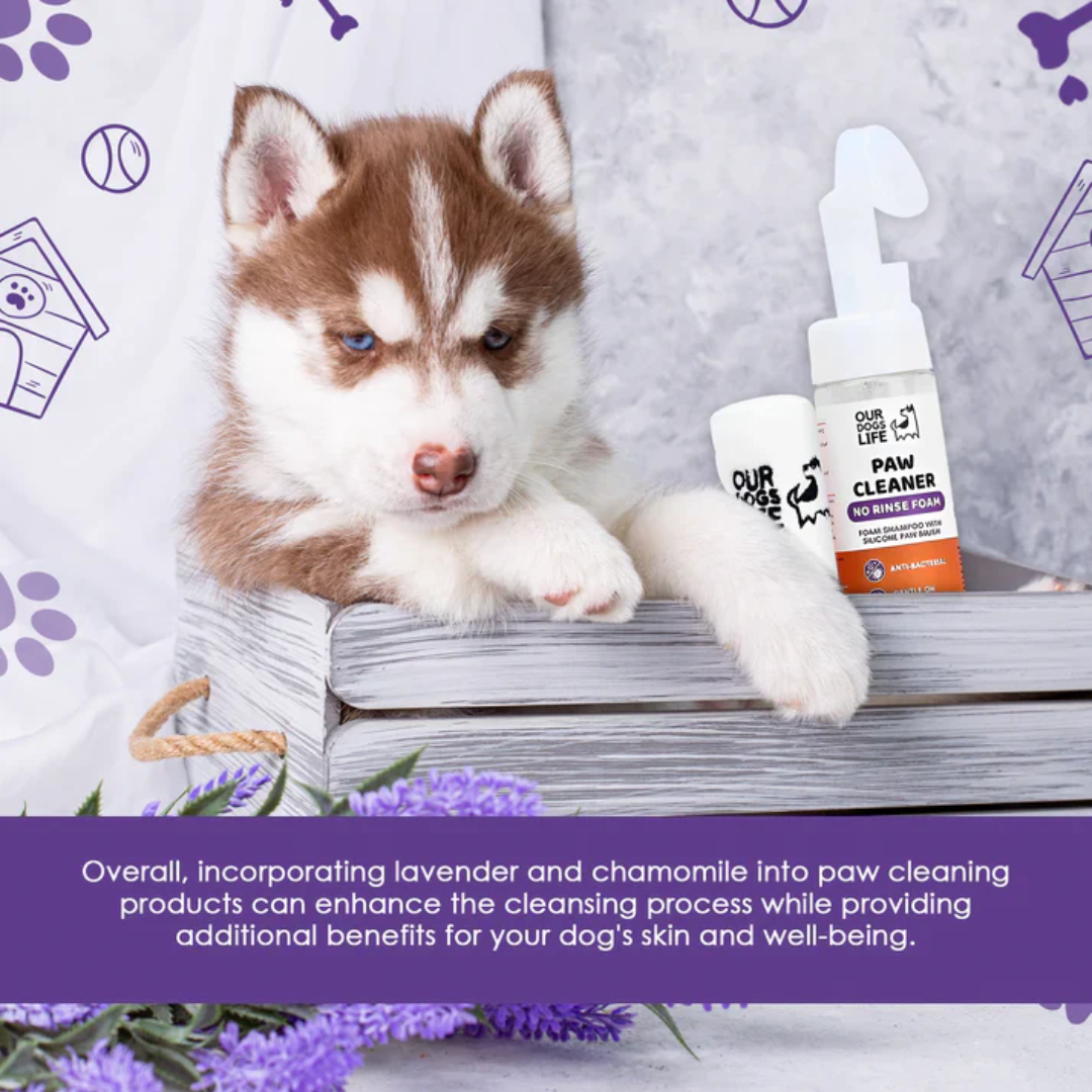 Dogslife Paw Cleaner (8830152016114)