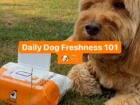 Dogslife Antibacterial Dog Wipes 80pcs