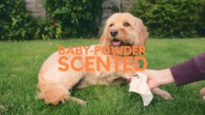 Dogslife Antibacterial Dog Wipes 80pcs