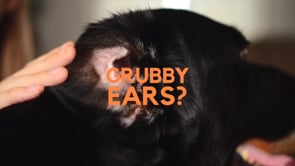 Dogslife Ear Cleaning Wipes