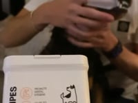 Dogslife Dental Cleaning Wipes