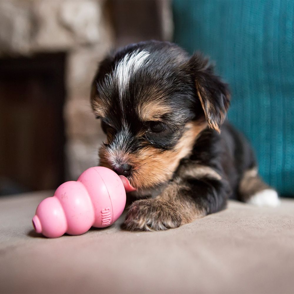 Kong Puppy dog toy (7002831552673)