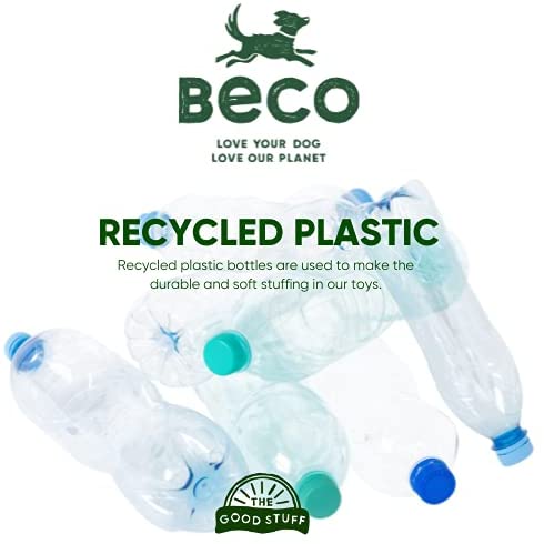 Cat Nip Toy - Starfish | USA Catnip (6632763097249)