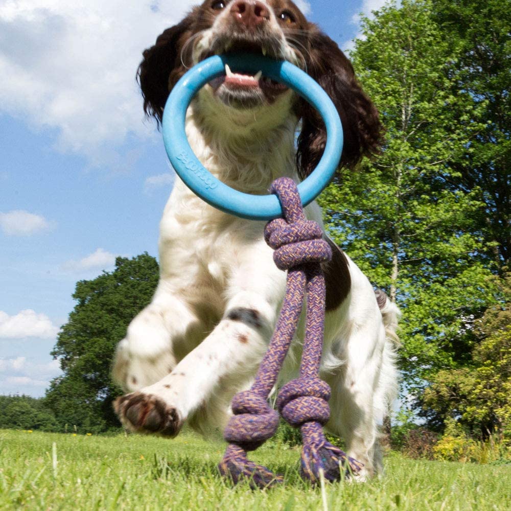 Natural Rubber Hoop on a rope Dog Toy (6631704494241)