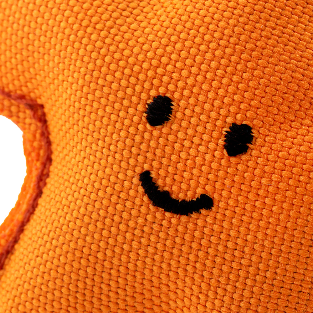 Happy Town Pets - Beco - Cat Nip Starfish close up (6632763097249)