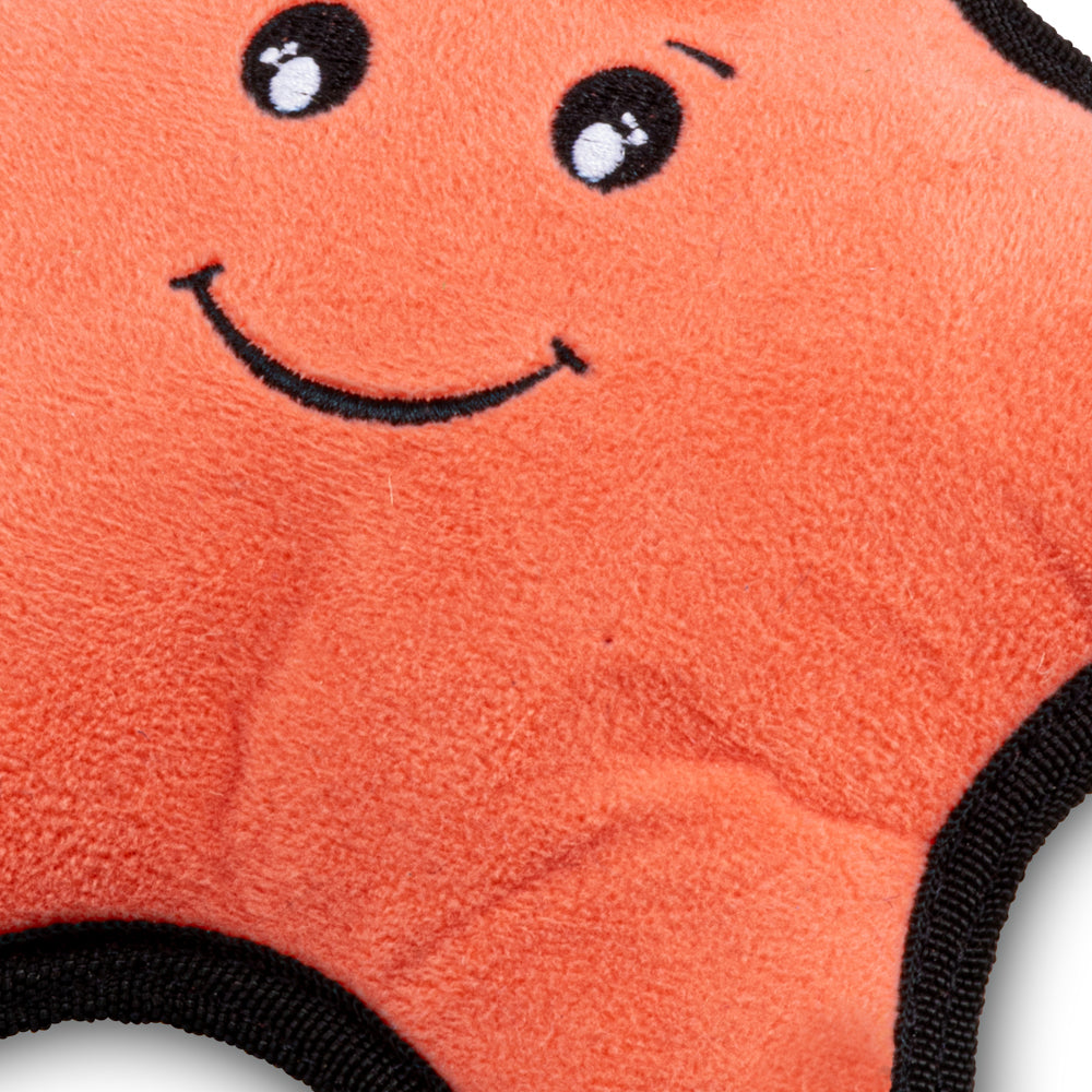 Rough & Tough Recycled Plastic Starfish Dog Toy (6869489877153)
