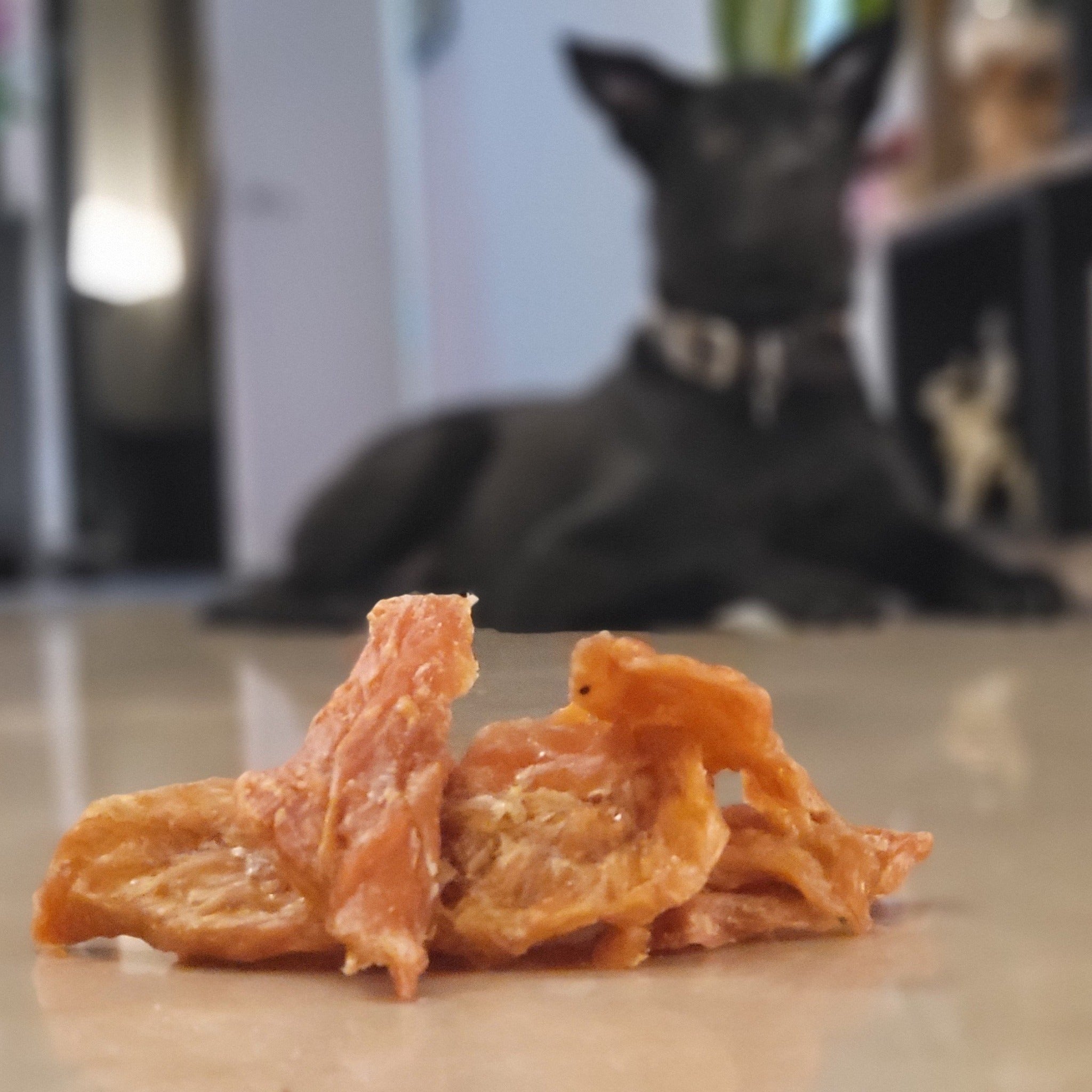 Gatchews Chicken Breast Jerky Chews & Treat (6072395038881)