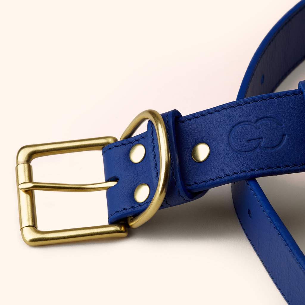 Signature Leather Dog & Cat Collar - Cobalt (6743260004513)
