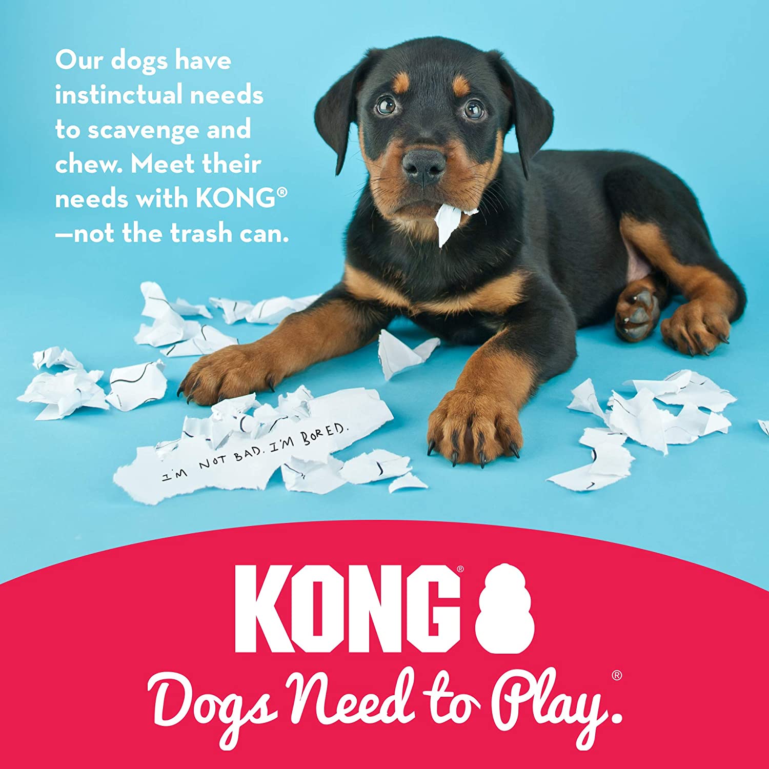 Kong Classic dog toy (6846099292321)