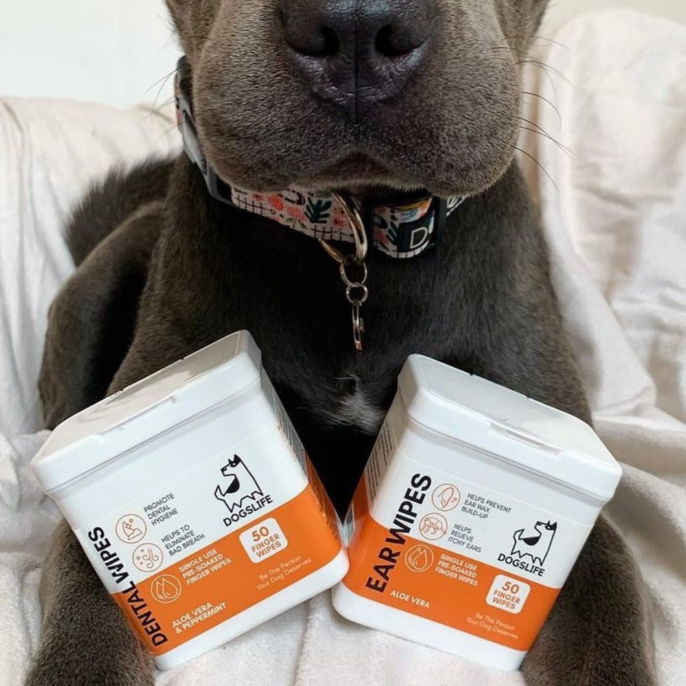 Dogslife Ear Cleaning Wipes (7776285098226)
