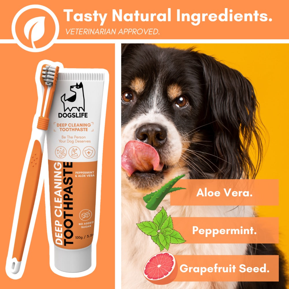 Dogslife Dental Care Kit (7776413155570)