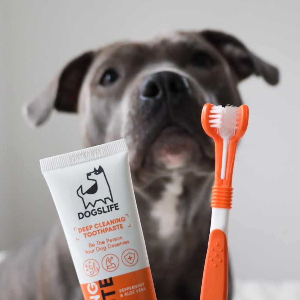 Dogslife Dental Care Kit (7776413155570)