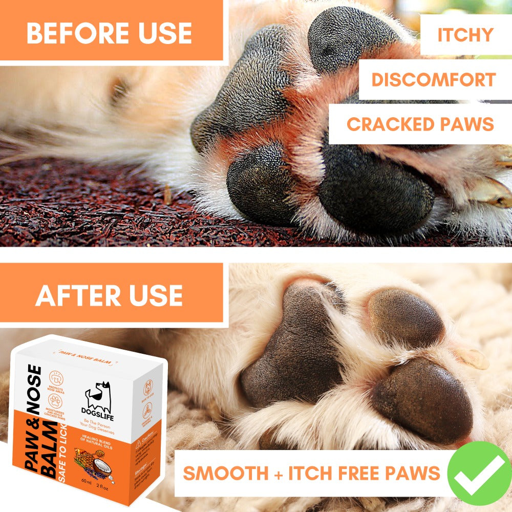 Dogslife Nose & Paw Balm & Moisturiser (7776307577074)