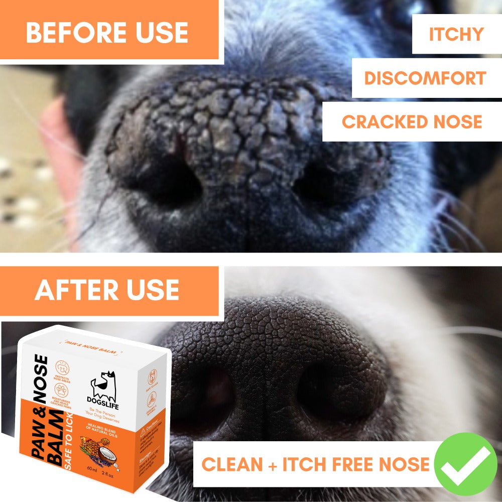 Dogslife Nose & Paw Balm & Moisturiser (7776307577074)