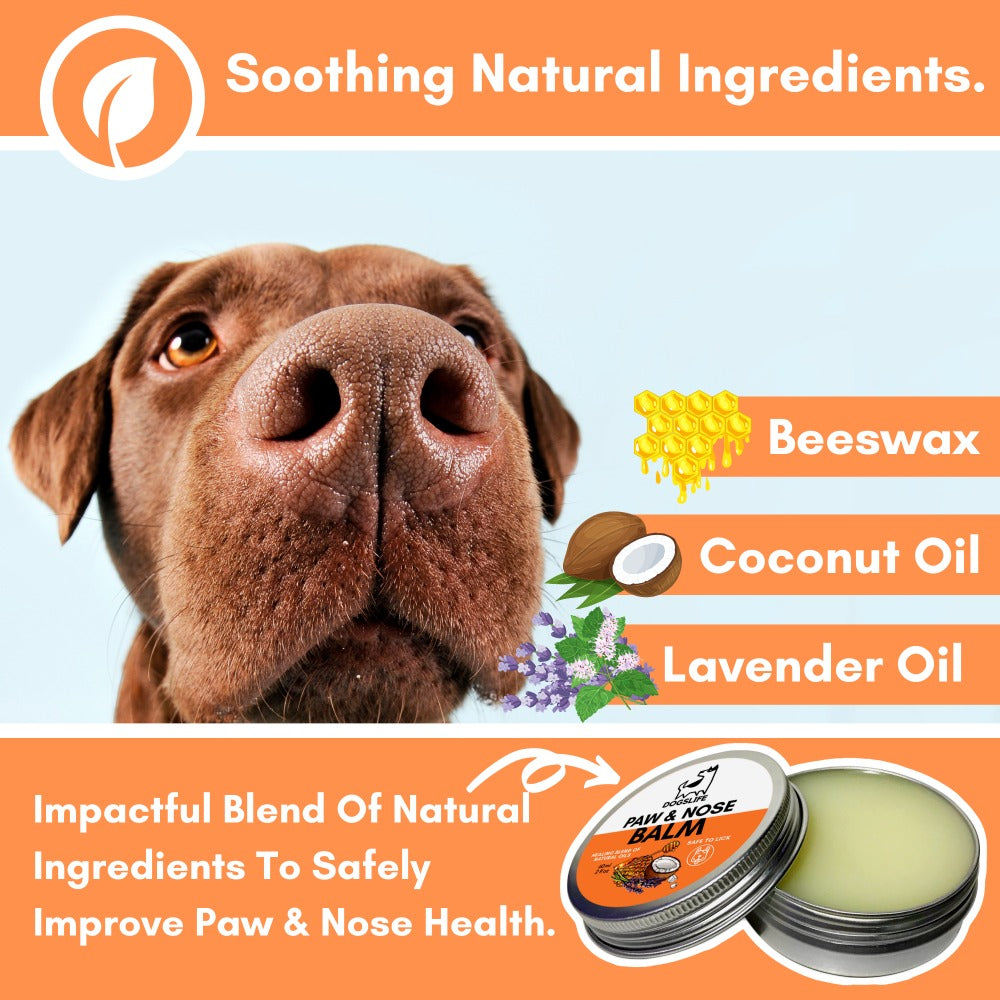 Dogslife Nose & Paw Balm & Moisturiser (7776307577074)
