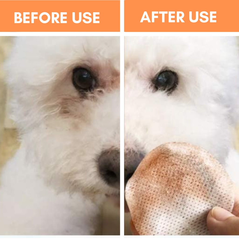 Dogslife Ear Cleaning Wipes (7776285098226)
