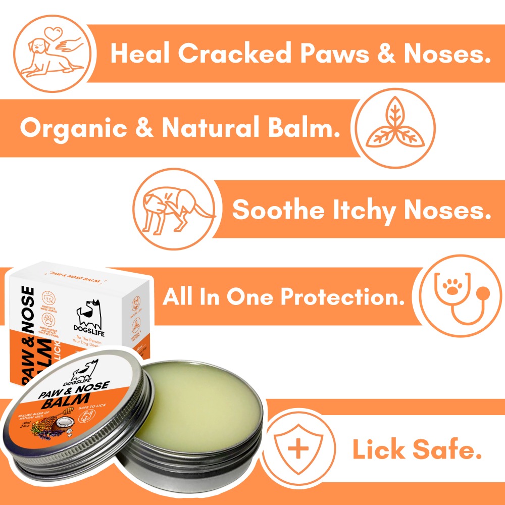 Dogslife Nose & Paw Balm & Moisturiser (7776307577074)