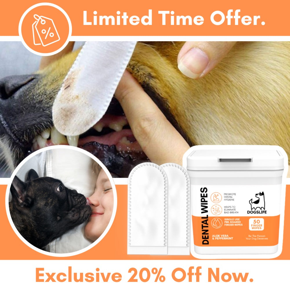 Dogslife Dental Cleaning Wipes (7776399720690)