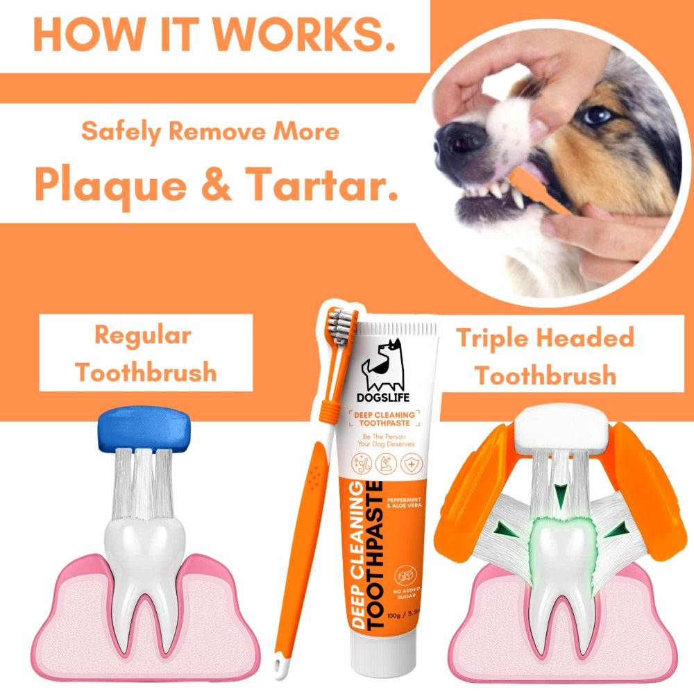 Dogslife Dental Care Kit (7776413155570)