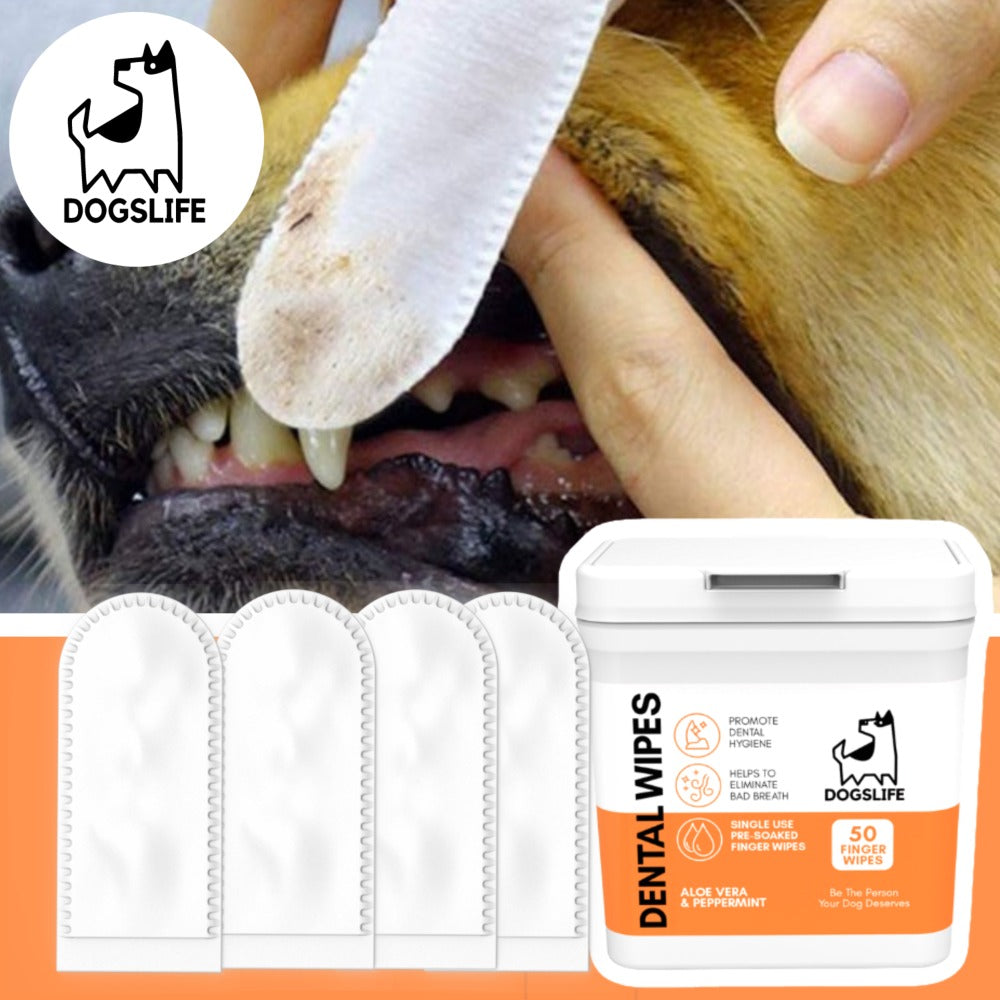 Dogslife Dental Cleaning Wipes (7776399720690)