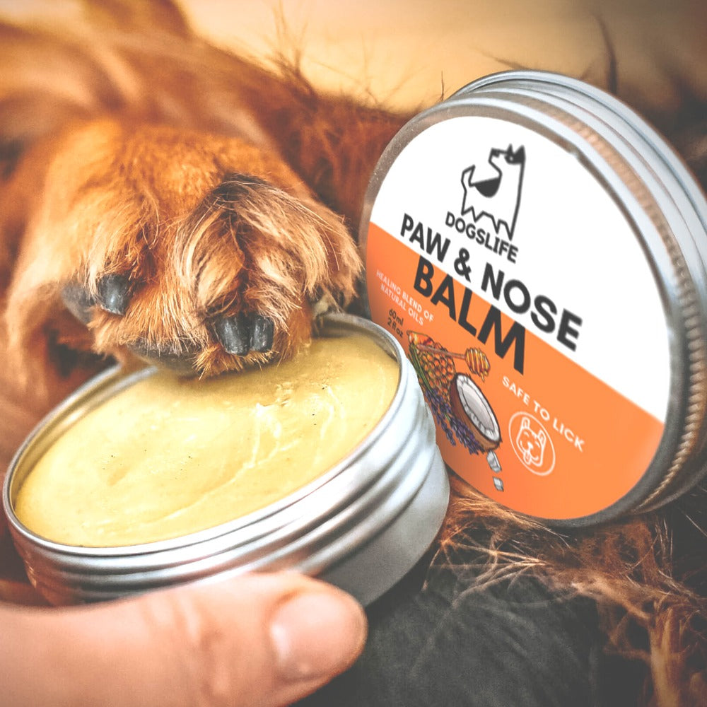 Dogslife Nose & Paw Balm & Moisturiser (7776307577074)