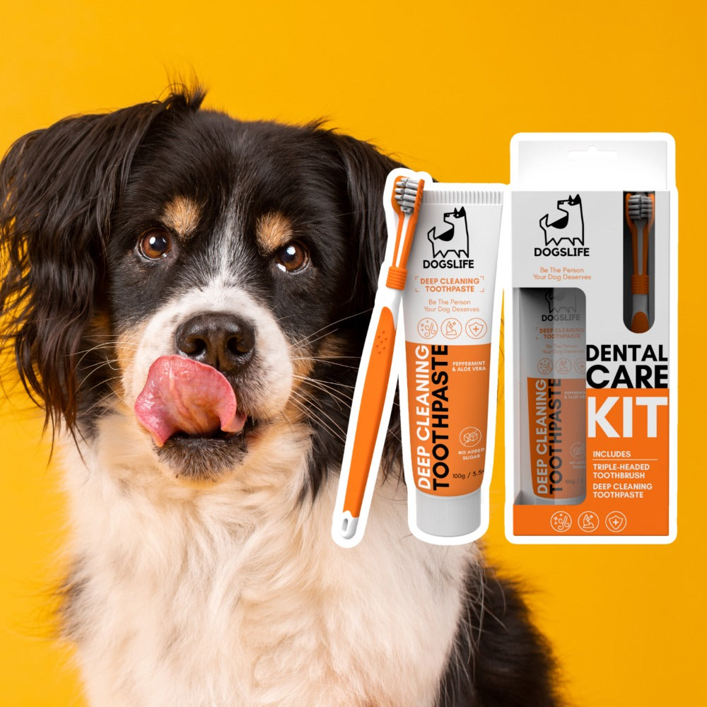 Dogslife Dental Care Kit (7776413155570)