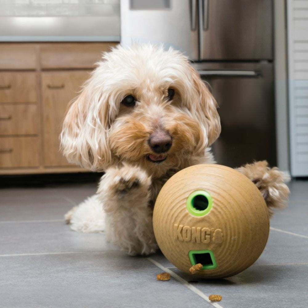 KONG Bamboo Feeder Dumbbell Dog Toy (7653922799858)