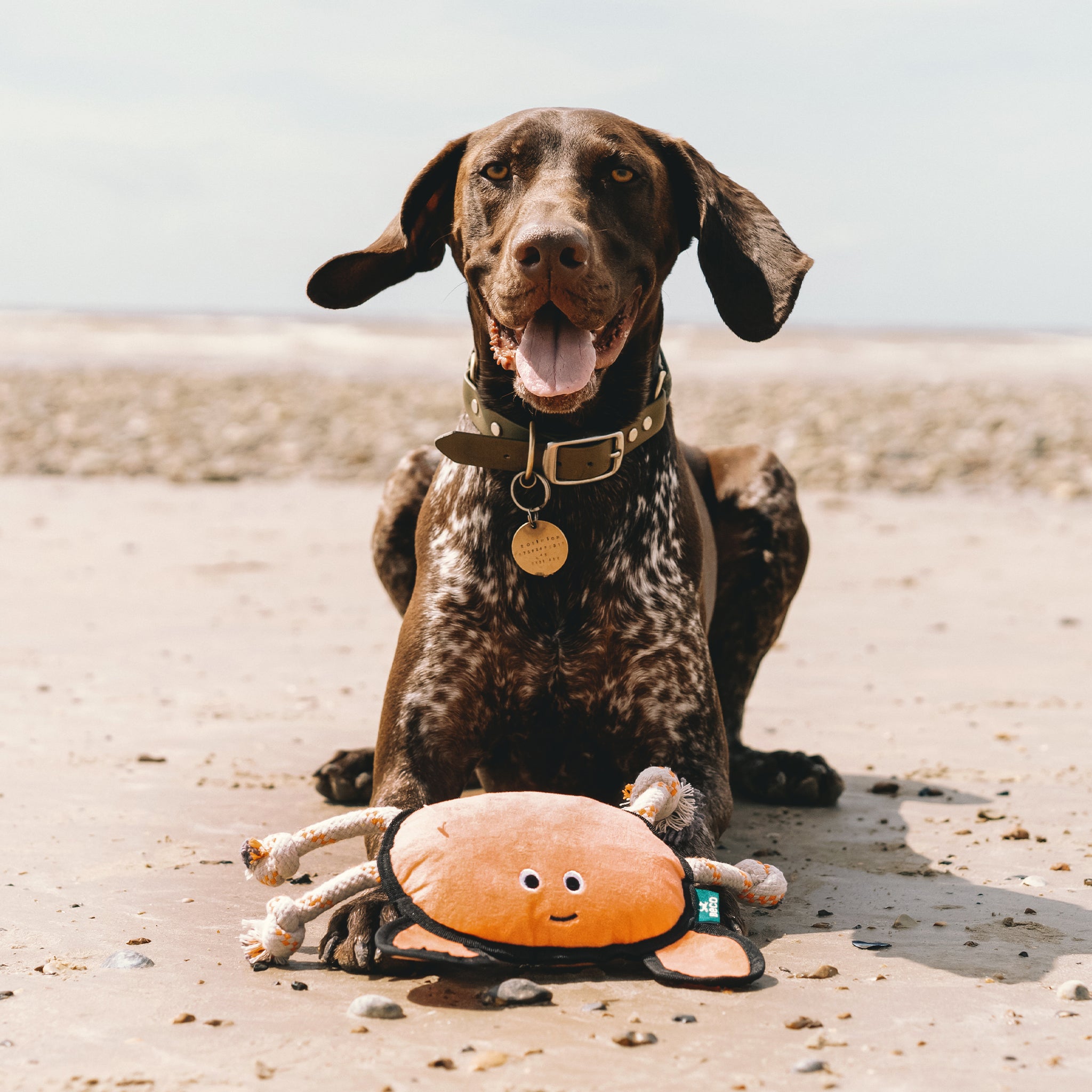 Rough & Tough Recycled Plastic Crab Dog Toy (6972051620001)