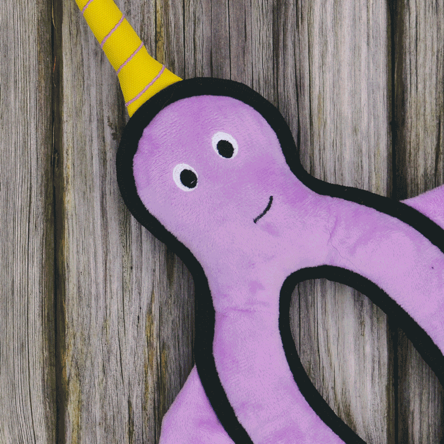 Rough & Tough Recycled Plastic Starfish Dog Toy (6869489877153)