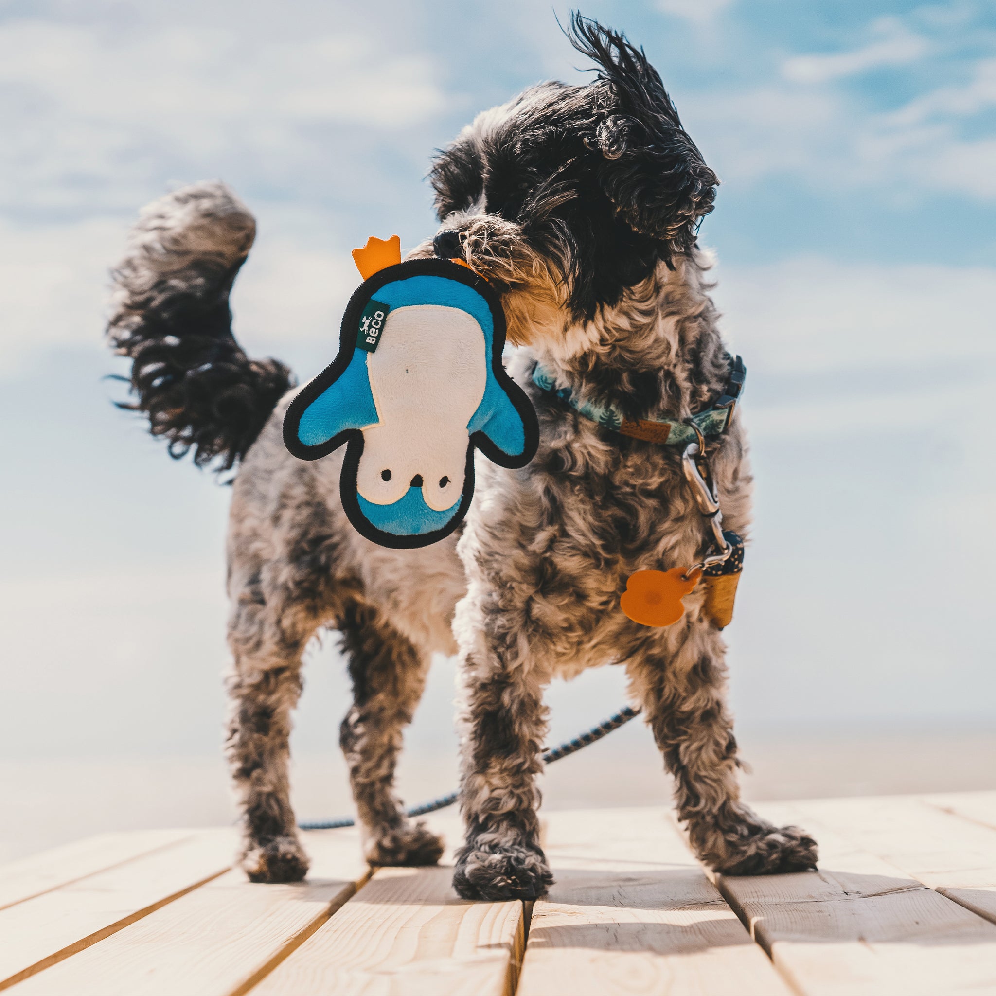 Rough & Tough Recycled Plastic Penguin Dog Toy (7461400936690)