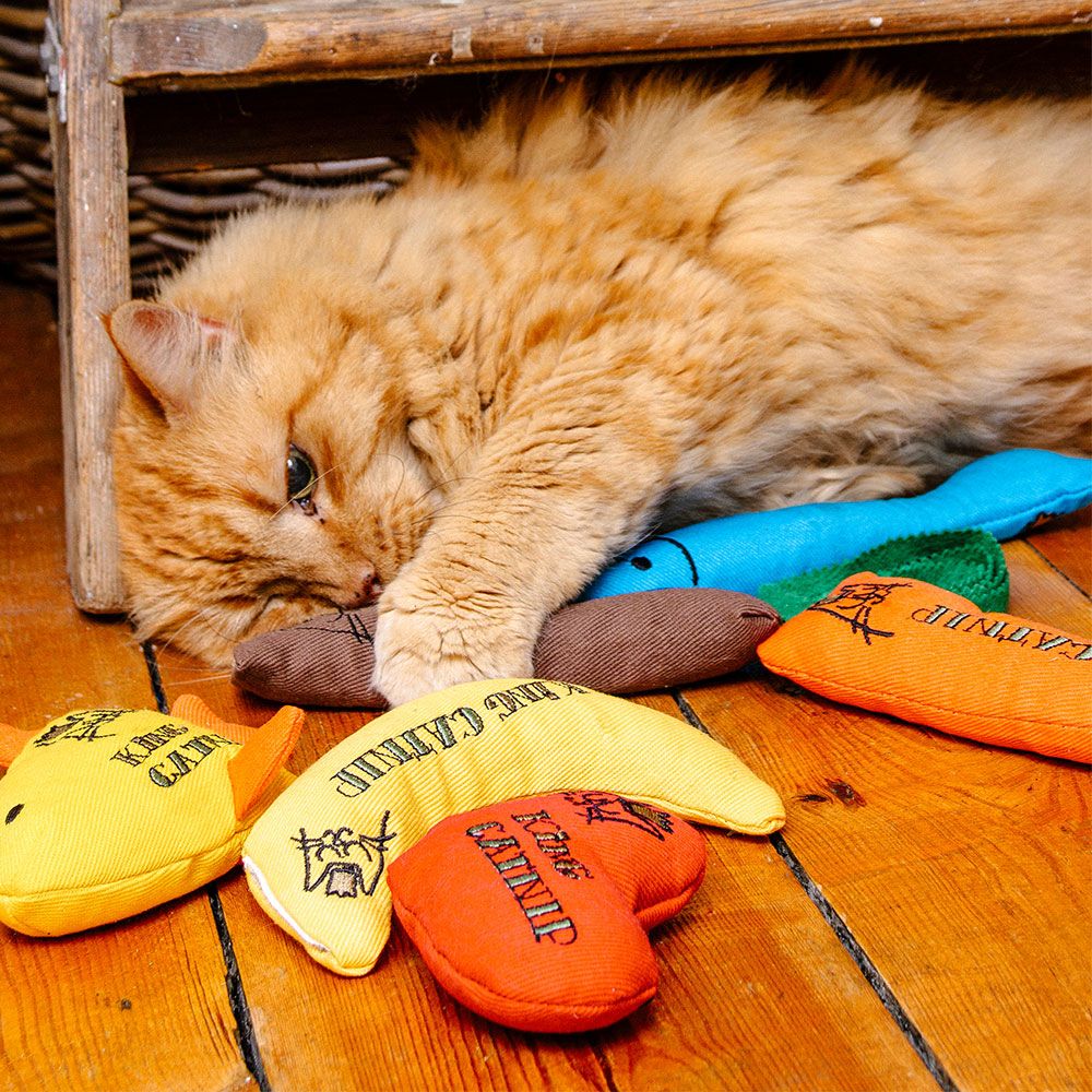 King Catnip Mouse Cat Nip toy for Cats (7568581984498)