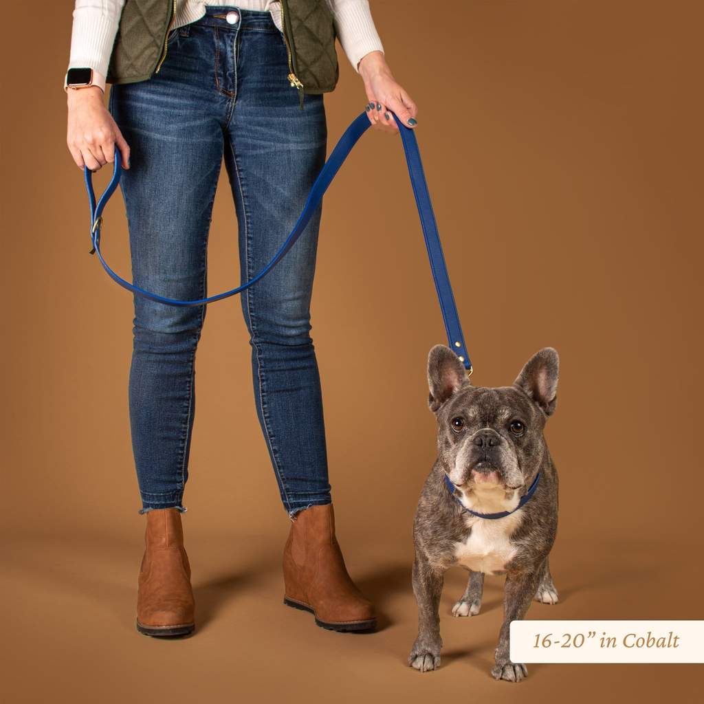 Signature Leather Dog & Cat Collar - Cobalt (6743260004513)