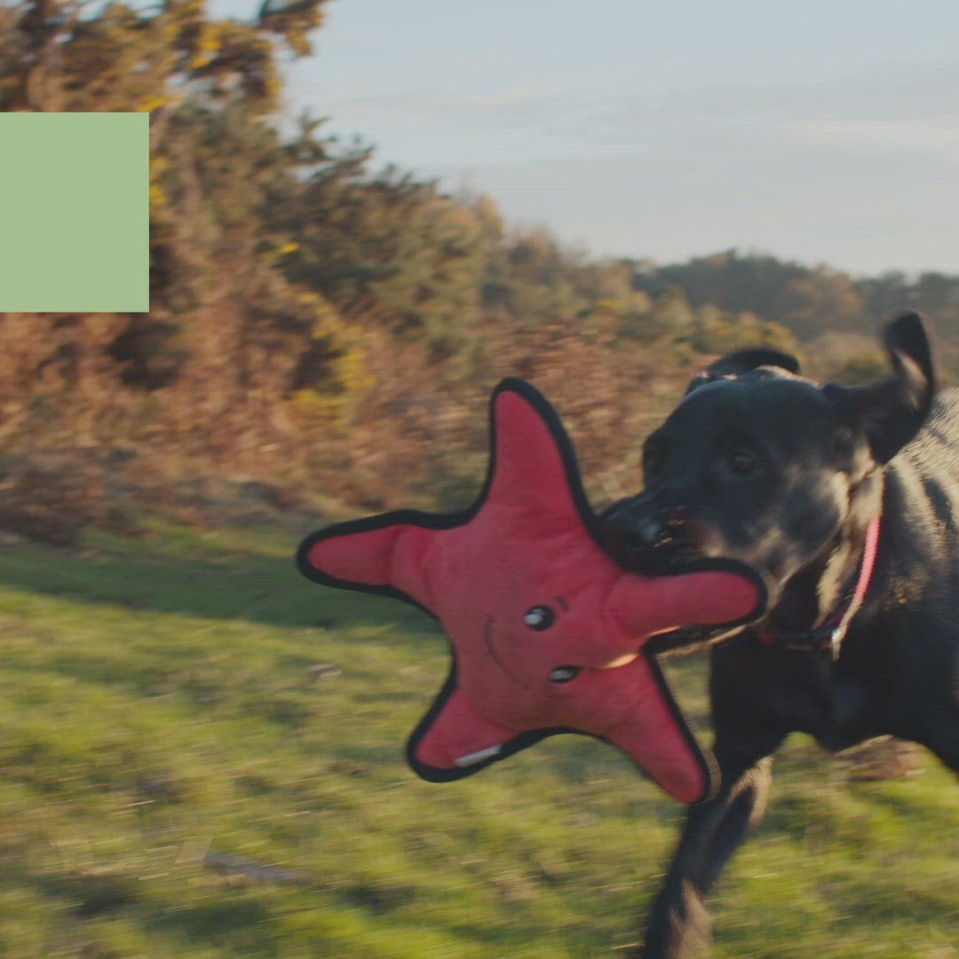 Happy Town Pets Natural toys for your dog or cat