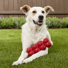 Kong Classic Goodie Ribbon dog toy (7686939410674)