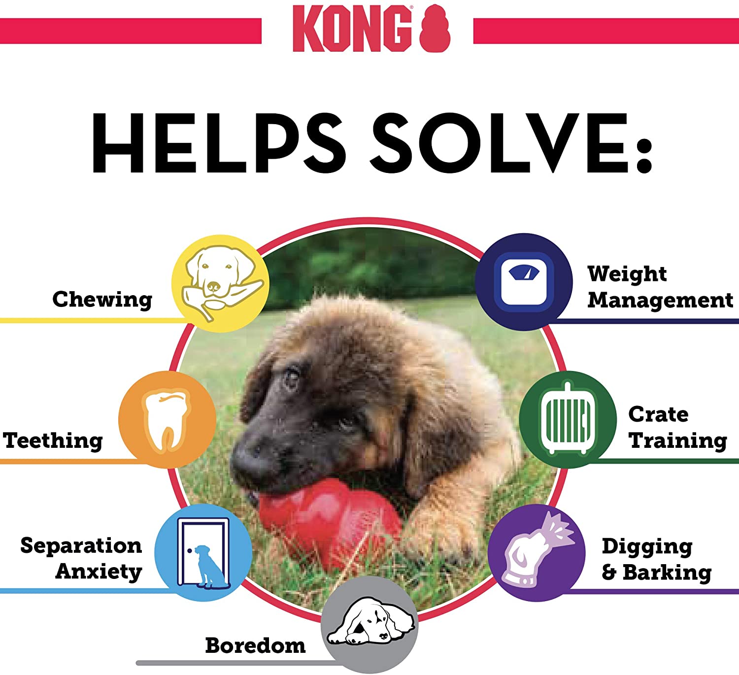 Kong Classic dog toy (6846099292321)