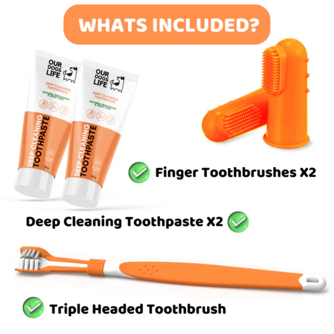 Dogslife Dental Care Kit (Copy) (8780443091186)
