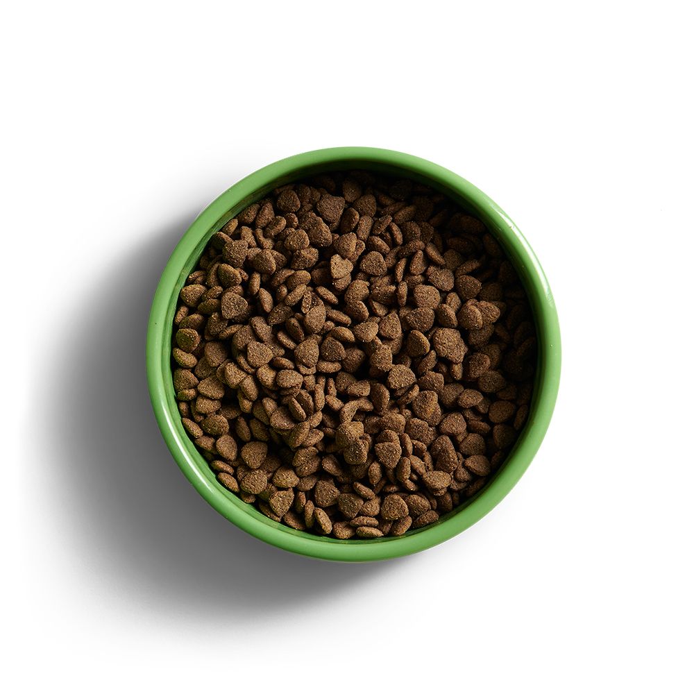 Yora Adult Small Breed Insect Based Dog Food (7624851423474)